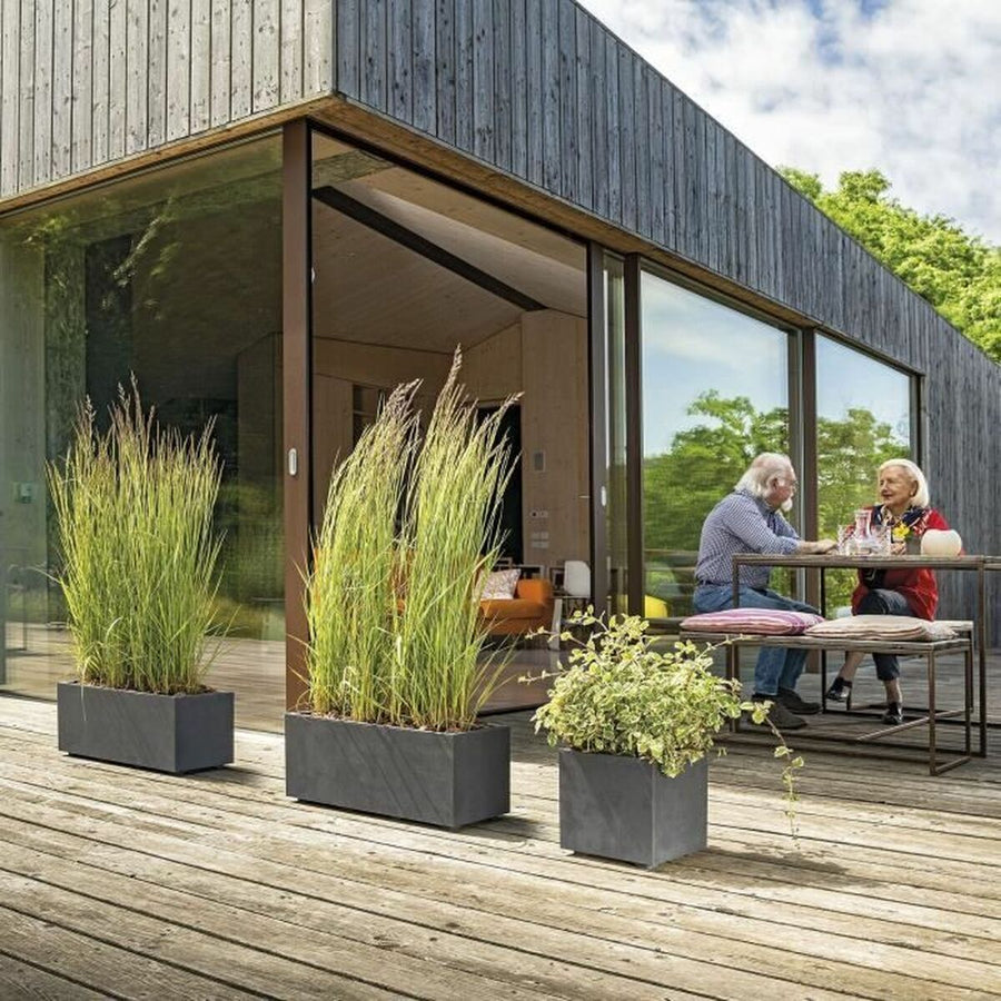 V3H3AD6A83773FE1DD09D7D4881DC1E78B7R5809345P5