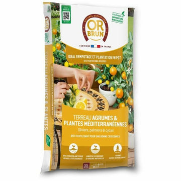 V4H45170D16771D5E2C7B657A967002058AR5179301P1