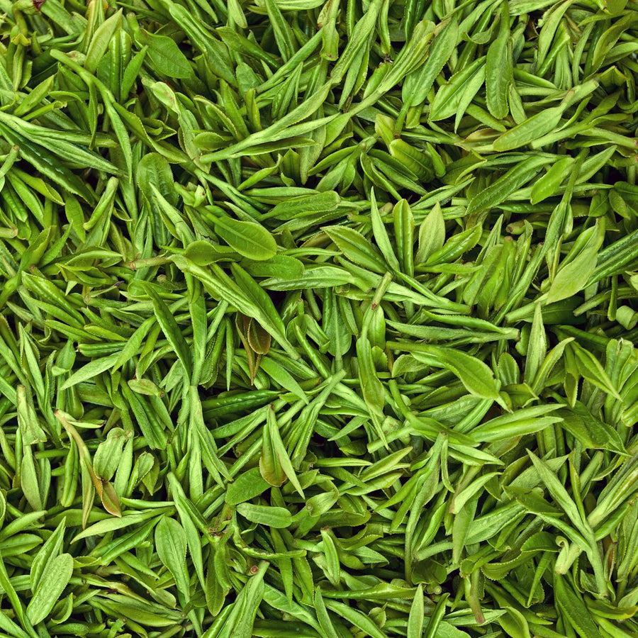 V2HBCCF08A7B6C51CE662EB118101429E1CR7420697P5