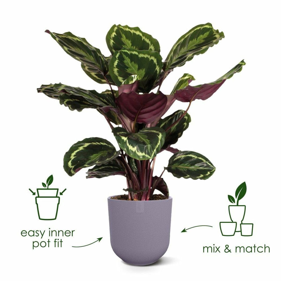 V2H996DFF635BF92EE21BE8920D8EB5A3FBR6737848P2