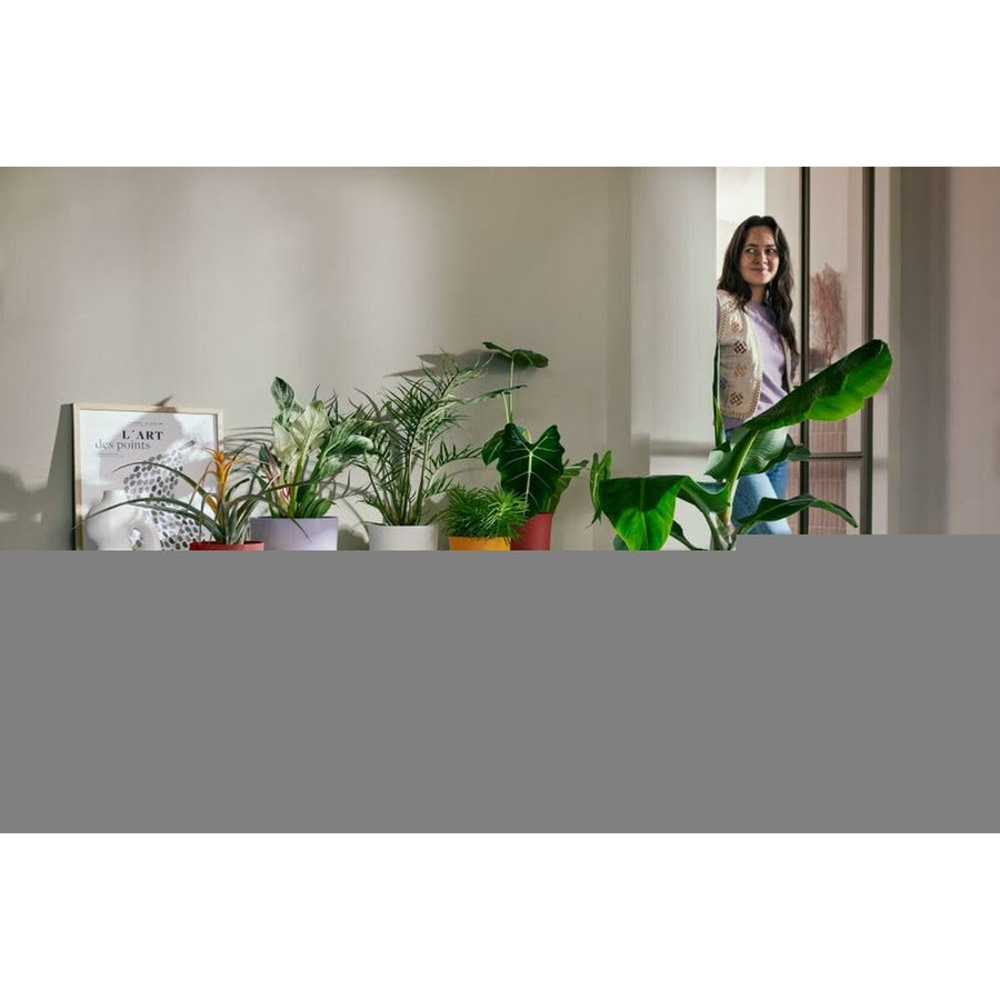 V2H098904F49ABD227B79EECA3F91C4B9CBR6737852P6