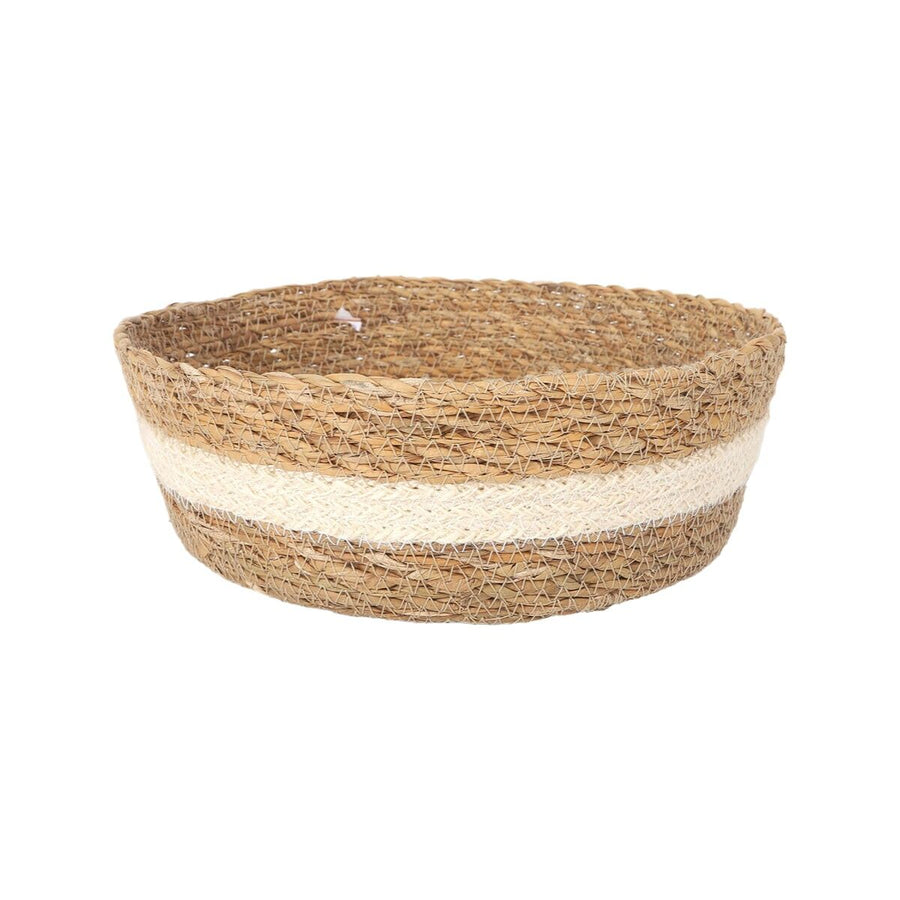 V4HC4B53154A869550EA38EEE5535348C09R7242210P2